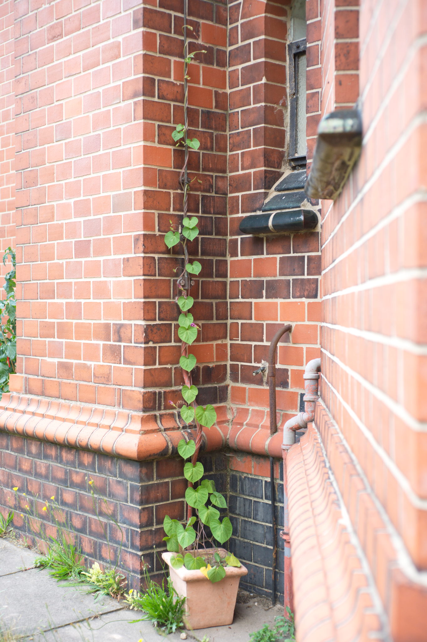 20210721  Gruen(t)raumHeimfeld 021